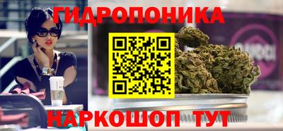 гашик Пыть-Ях