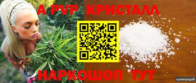 гашик Пыть-Ях