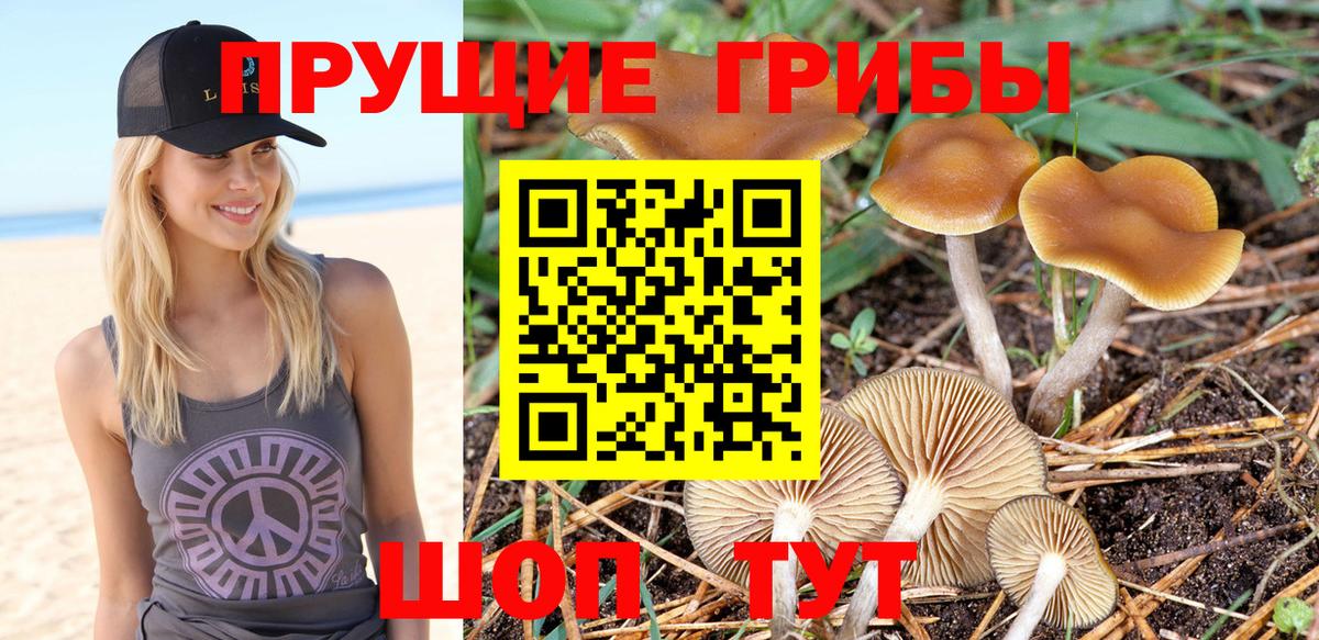 Псилоцибиновые грибы мицелий  Вход с VPN  Холмск  Галлюциногенные грибы ЛСД 